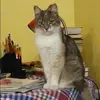 Отзыв от Алена Черняева